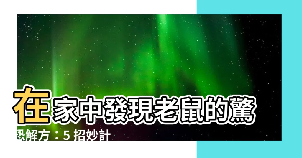 【家中有老鼠】在家中發現老鼠的驚恐解方：5 招妙計，終結鼠輩肆虐！