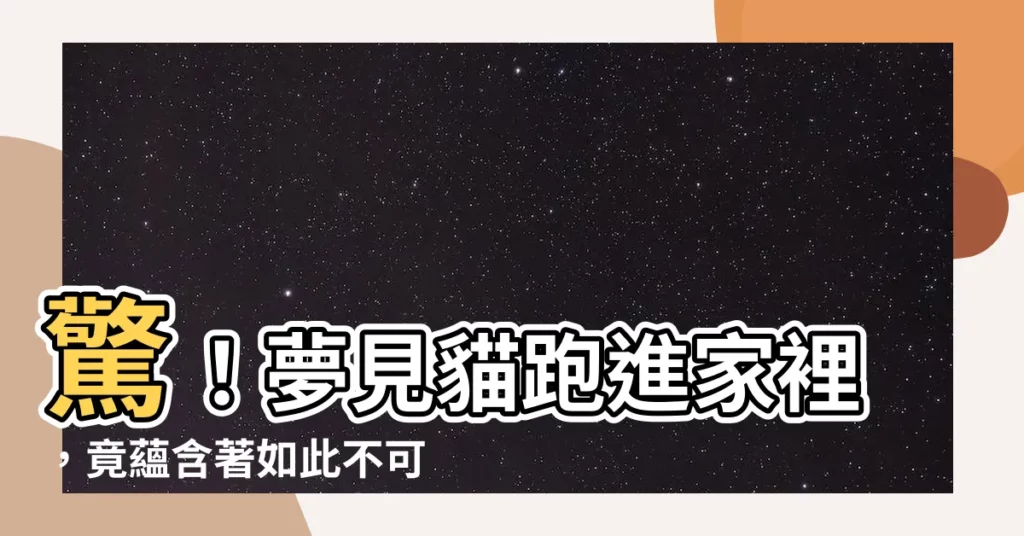 【夢見貓跑進家裡】驚!夢見貓跑進家裡,竟藴含著如此不可思議的徵兆!