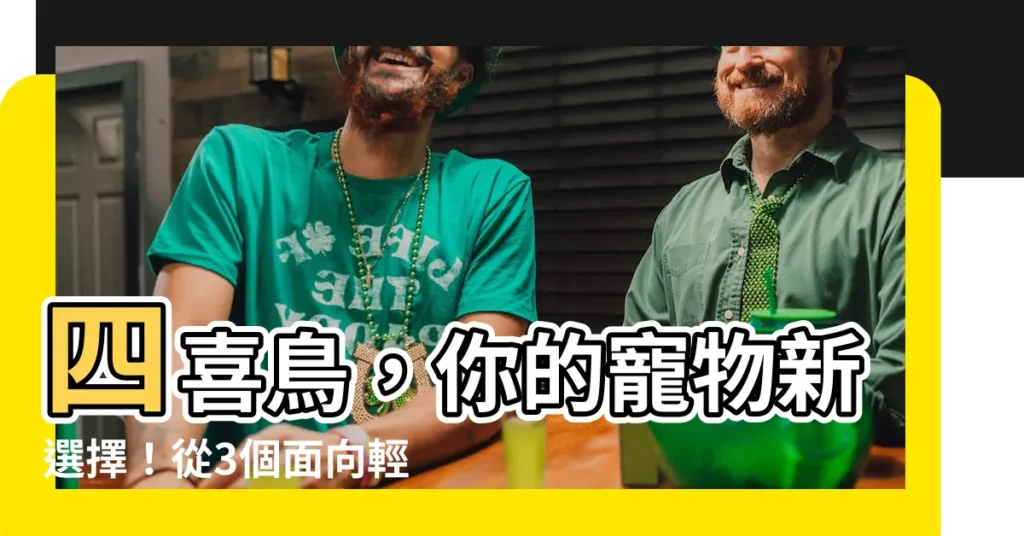 【四喜鳥飼養】四喜鳥，你的寵物新選擇！從3個面向輕鬆養好它