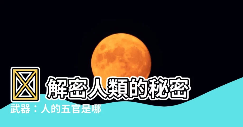 【人的五官是哪五官】🤩 解密人類的秘密武器：人的五官是哪五官？