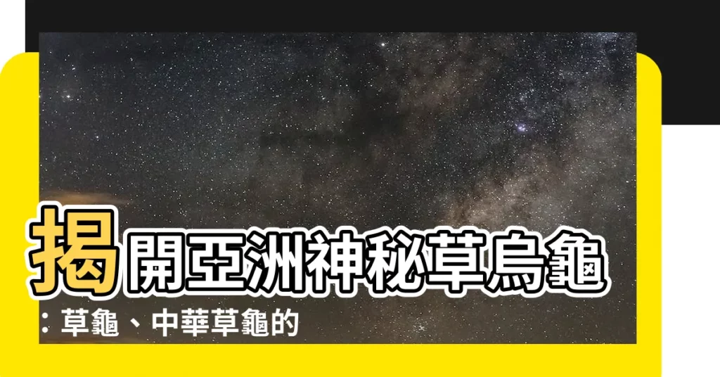 【草烏龜】揭開亞洲神秘草烏龜：草龜、中華草龜的驚人秘密！