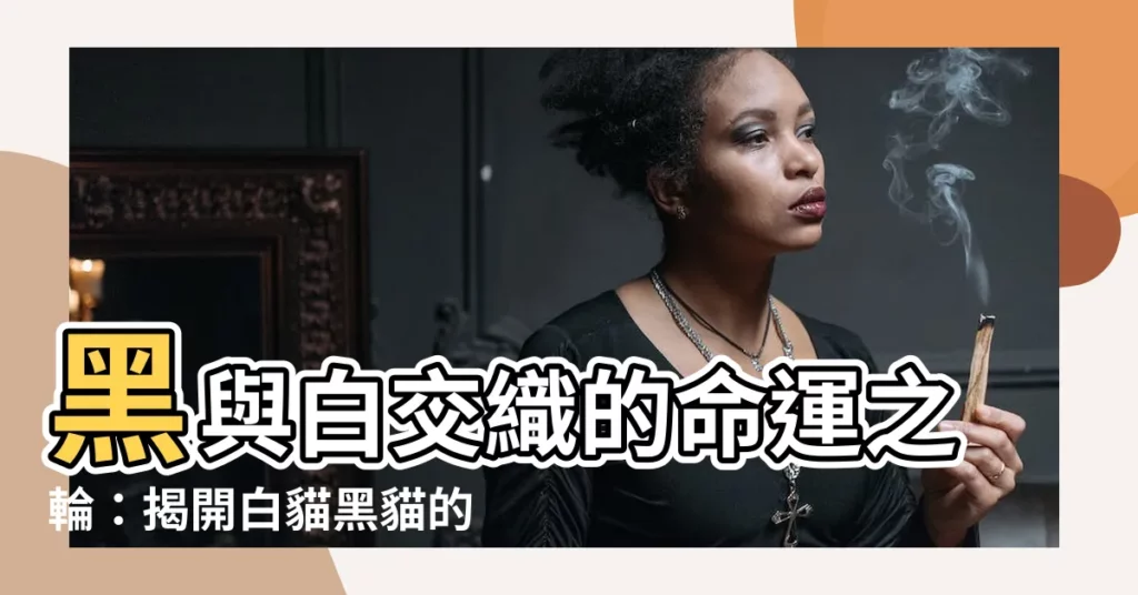 【白貓黑貓】黑與白交織的命運之輪：揭開白貓黑貓的秘密！
