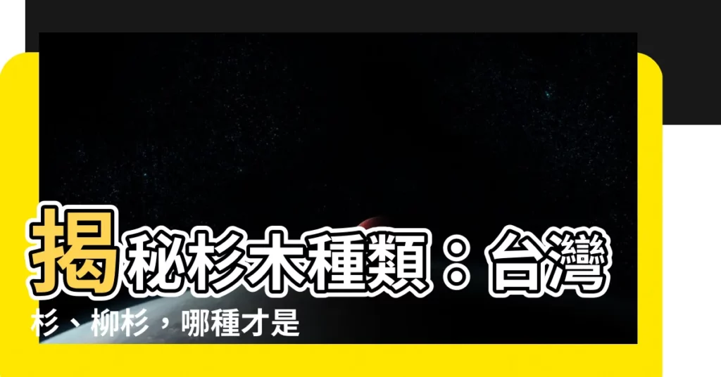 【杉木種類】揭秘杉木種類：台灣杉、柳杉，哪種才是你想要的？