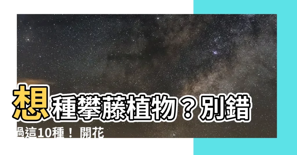 【攀藤植物有哪些】想種攀藤植物?別錯過這10種! 開花時美呆了!