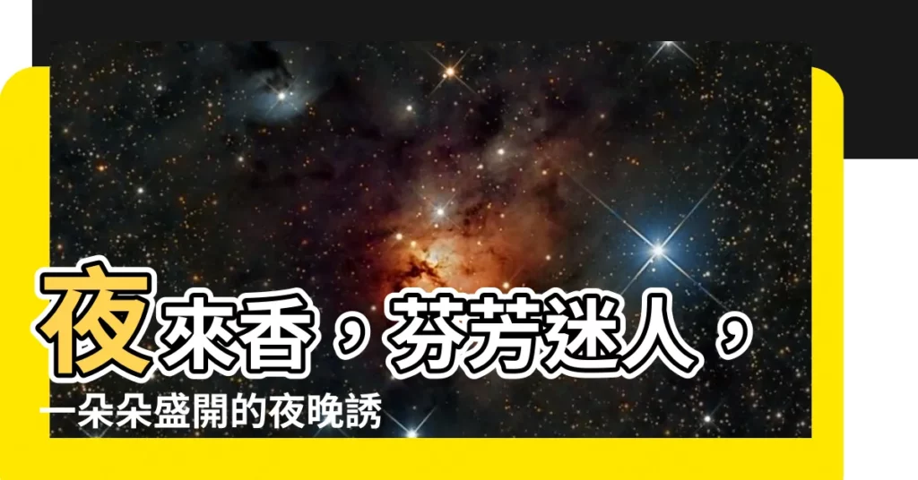 【夜來香】夜來香,芬芳迷人,一朵朵盛開的夜晚誘惑