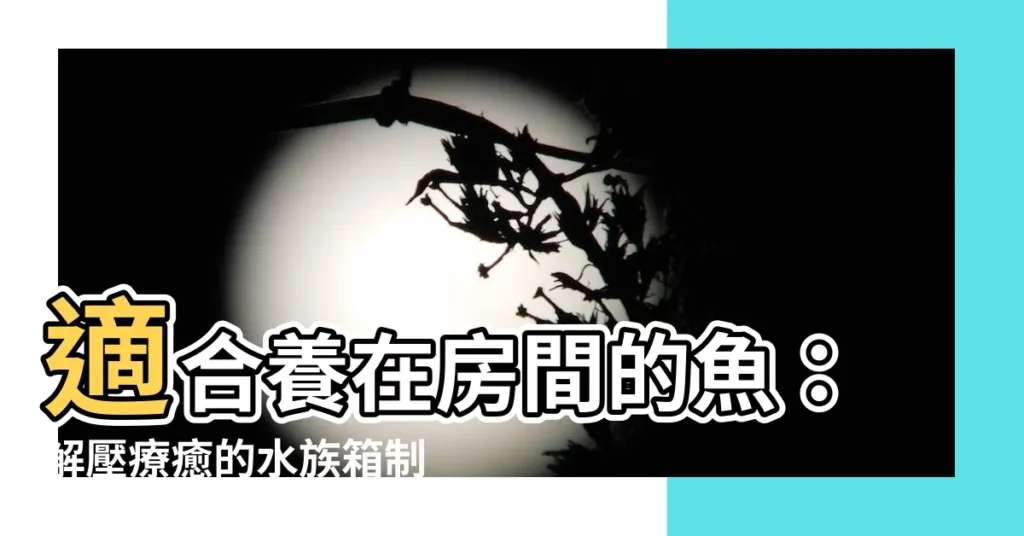 【適合養在房間的魚】適合養在房間的魚：解壓療癒的水族箱製作指南！